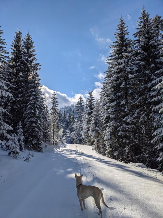 Ferienwohnung Gartenglueck Traunstein Esterno foto