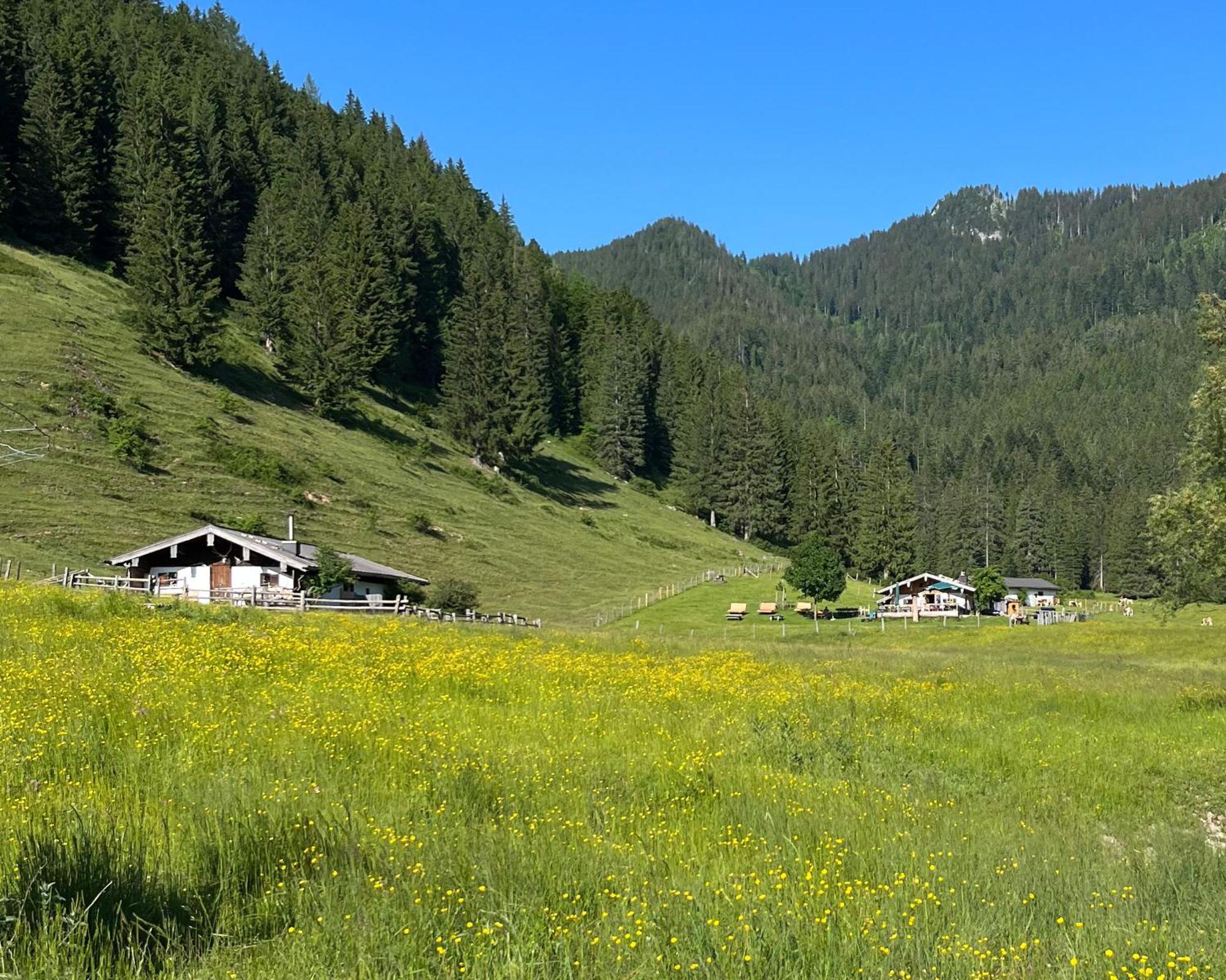 Ferienwohnung Gartenglueck Traunstein Esterno foto