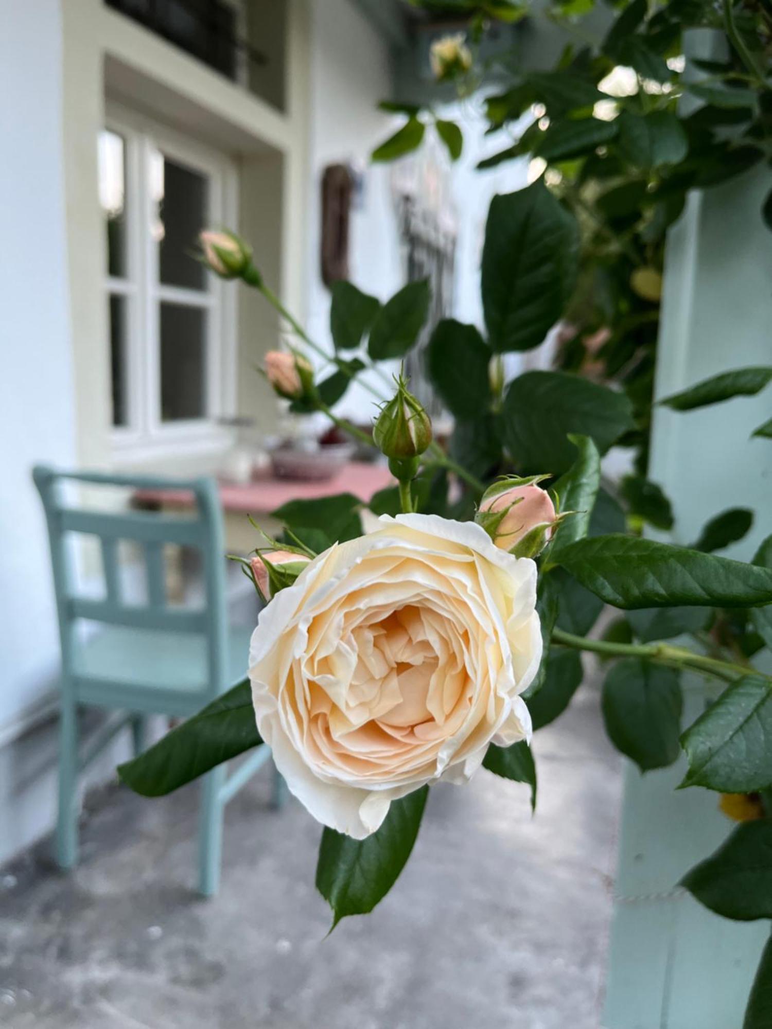 Ferienwohnung Gartenglueck Traunstein Esterno foto